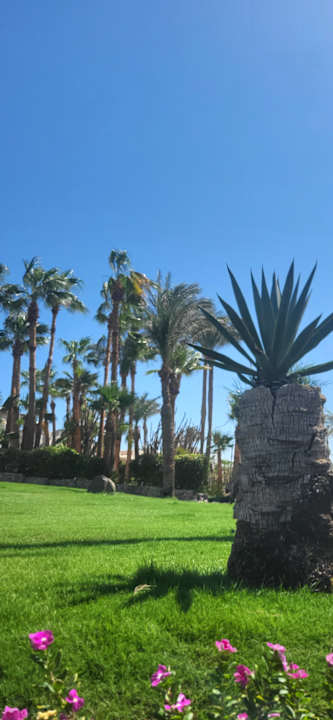 Außenansicht Steigenberger Makadi Hotel - Adults only