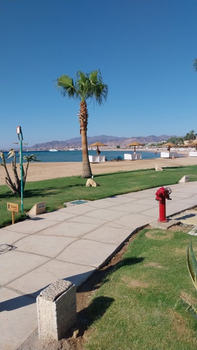 Außenansicht Shams Prestige Abu Soma-Adults Only