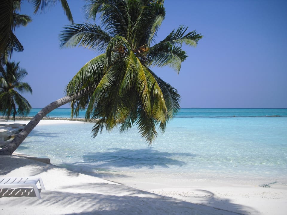 Blick aus dem Bungi Summer Island Maldives