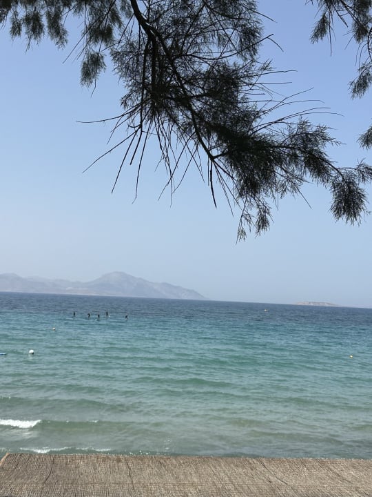 Strand Neptune Luxury Resort