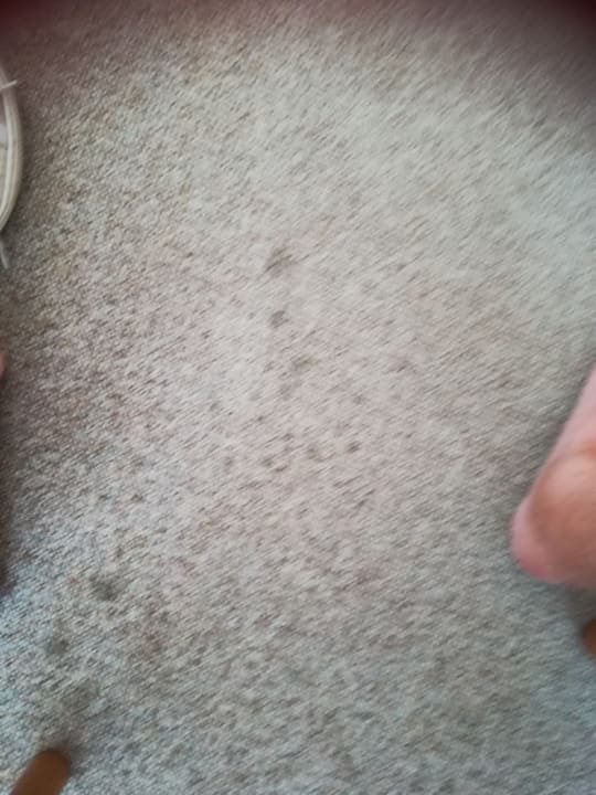 Zimmer Gasthof-Hotel Schwäbele Eck