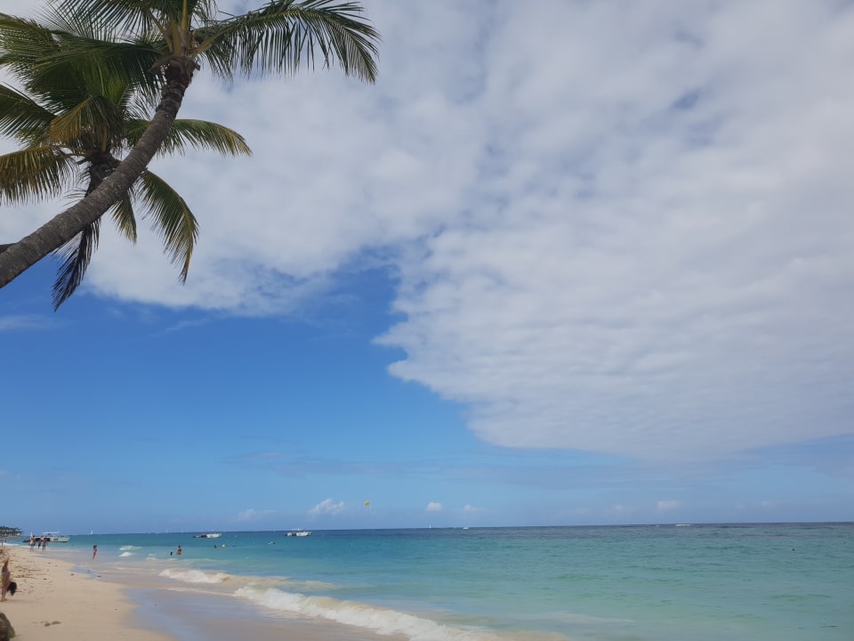 Strand Hotel Riu Palace Bavaro