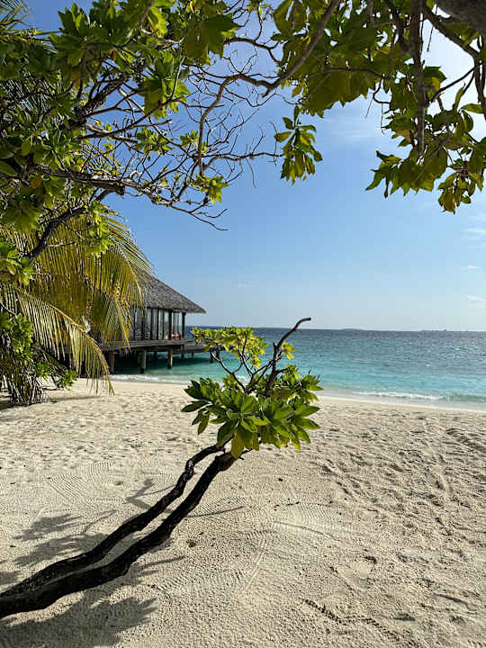 Außenansicht Adaaran Select Meedhupparu Island Resort - Premium All Inclusive