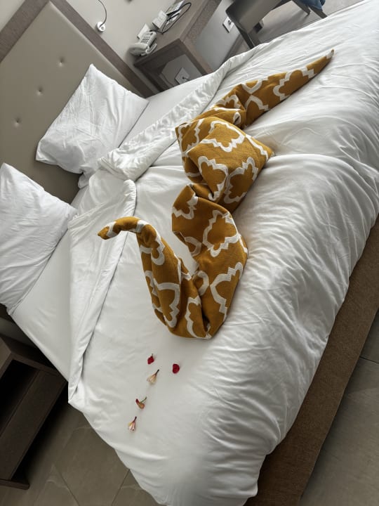 Zimmer Steigenberger Resort Alaya Marsa Alam - Red Sea - Adults only