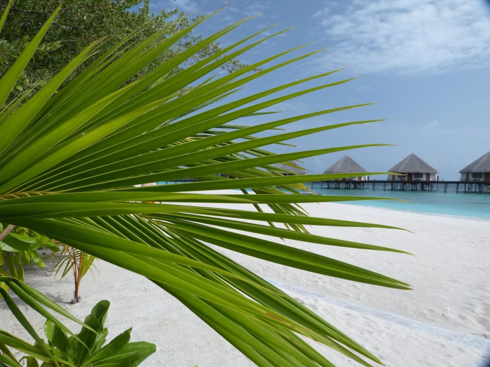 Bei den Wasserbungis Adaaran Select Meedhupparu Island Resort - Premium All Inclusive