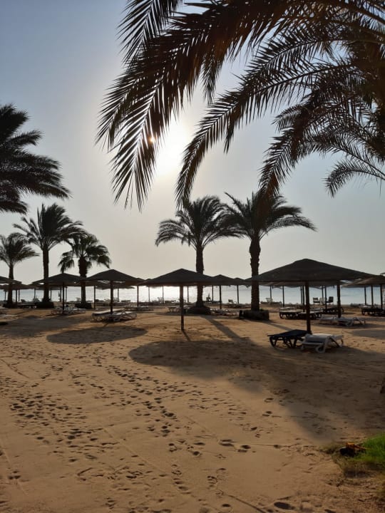 Strand Fort Arabesque Resort, Spa & Villas
