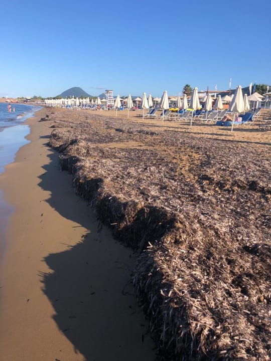 Strand Sandy Beach Resort