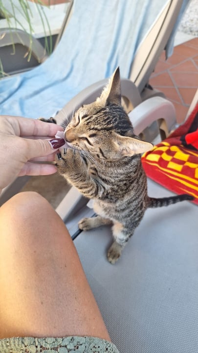 Pool TUI BLUE Xanthe