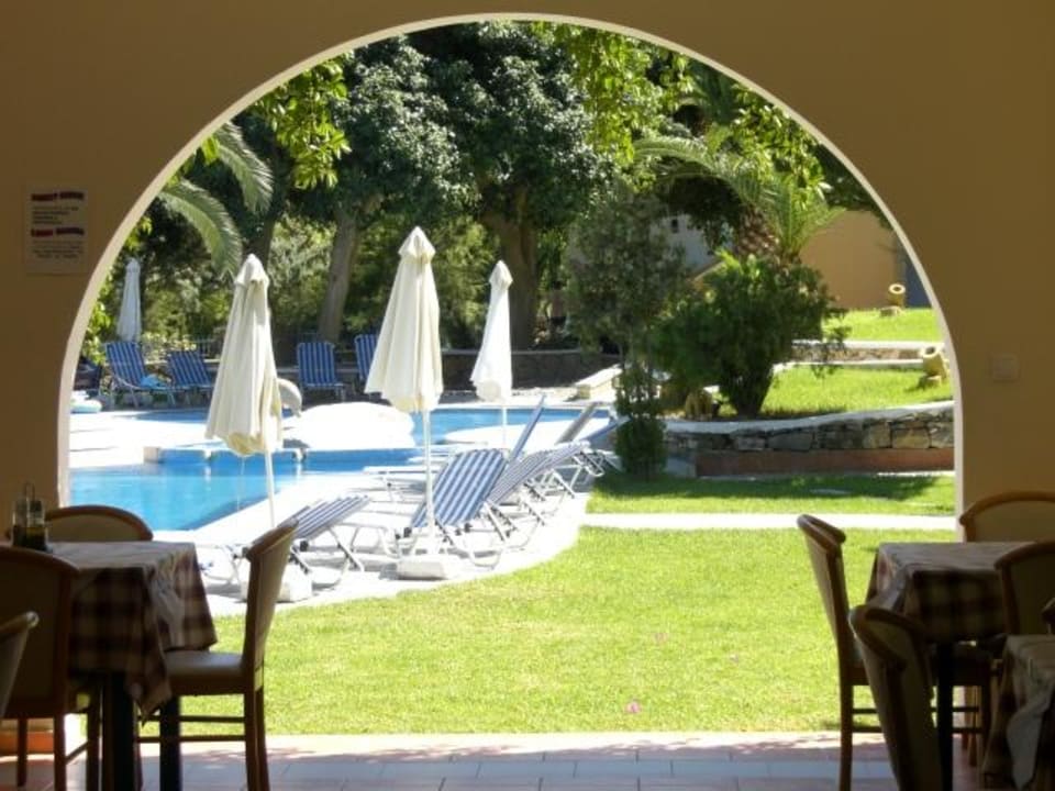 Blick in den Garten Ekaterini Hotel