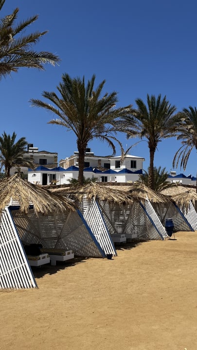 Gartenanlage Hotel Coral Garden