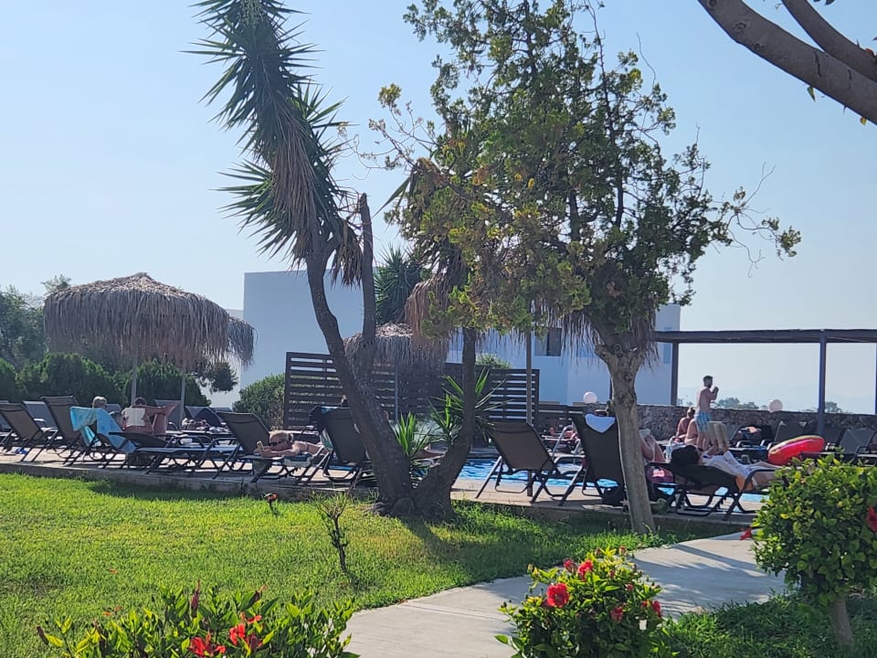 Gartenanlage Summer Village of Hippokrates - Adults only