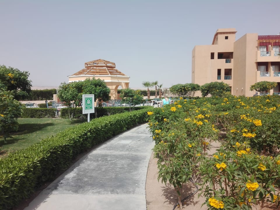Gartenanlage Lemon & Soul Makadi Garden