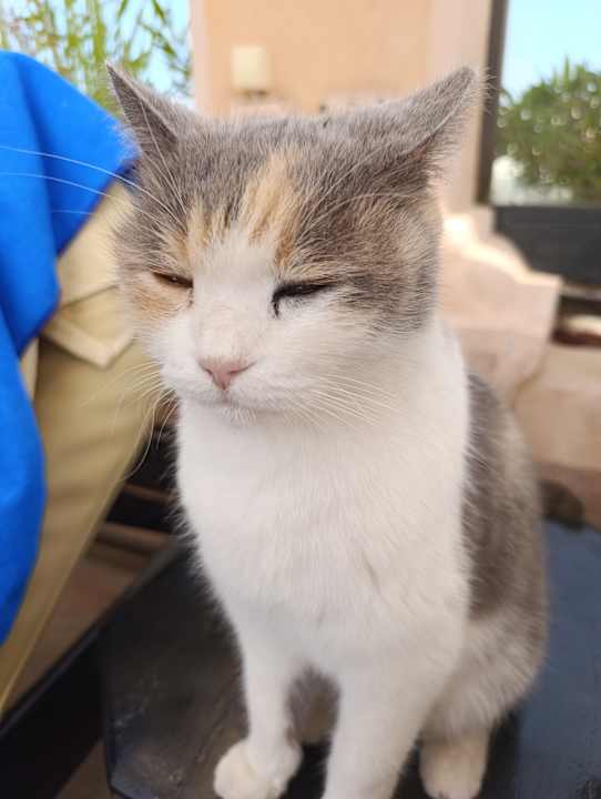 Sonstiges Hotel Three Corners Ocean View prestige - Adults only