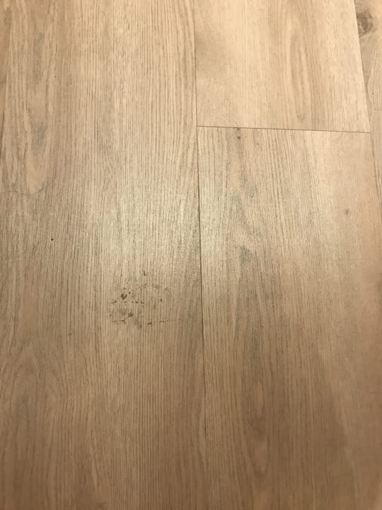 Zimmer INNSiDE Calviá Beach