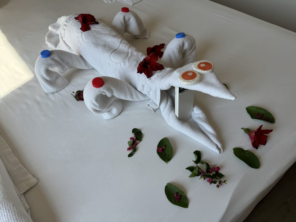 Zimmer Hane Family Resort