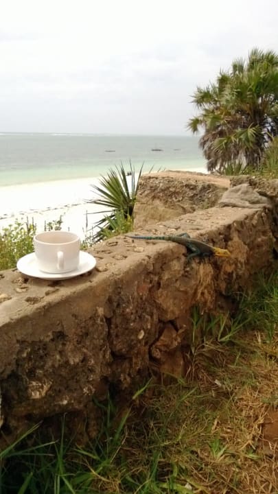 Gekon Reef Hotel Mombasa