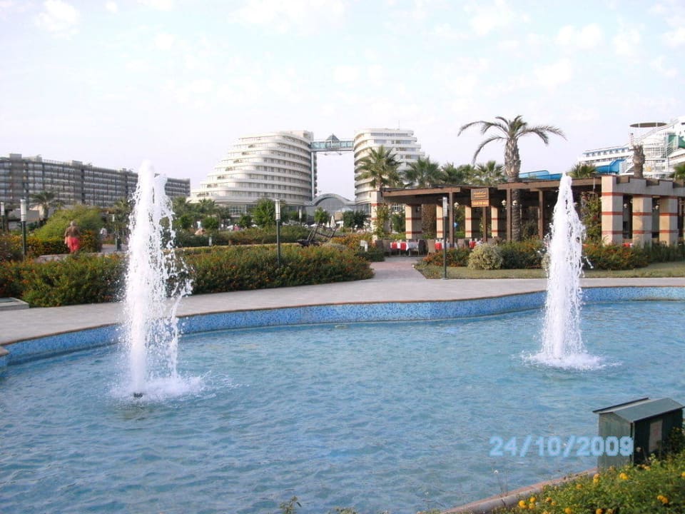 Gartenanlage Hotel Miracle Resort