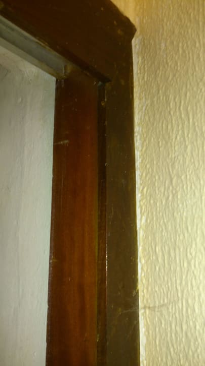 Spinnenweben Hotel Los Cactus