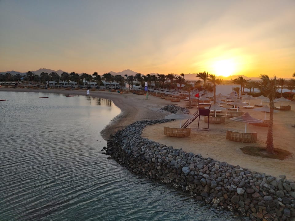 Ausblick Desert Rose