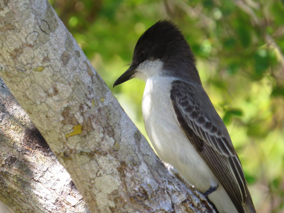 Gartenanlage Sol Rio De Luna y Mares