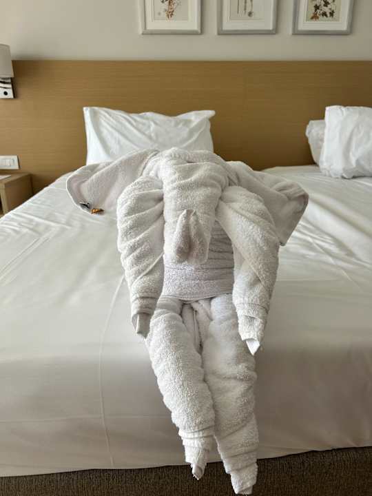 Zimmer JAZ Elite Asteria