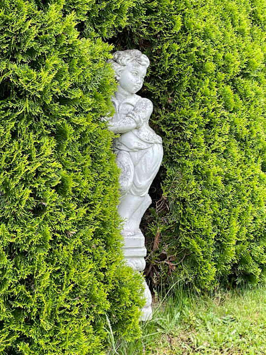 Sonstiges Möhringers Schwarzwald Hotel