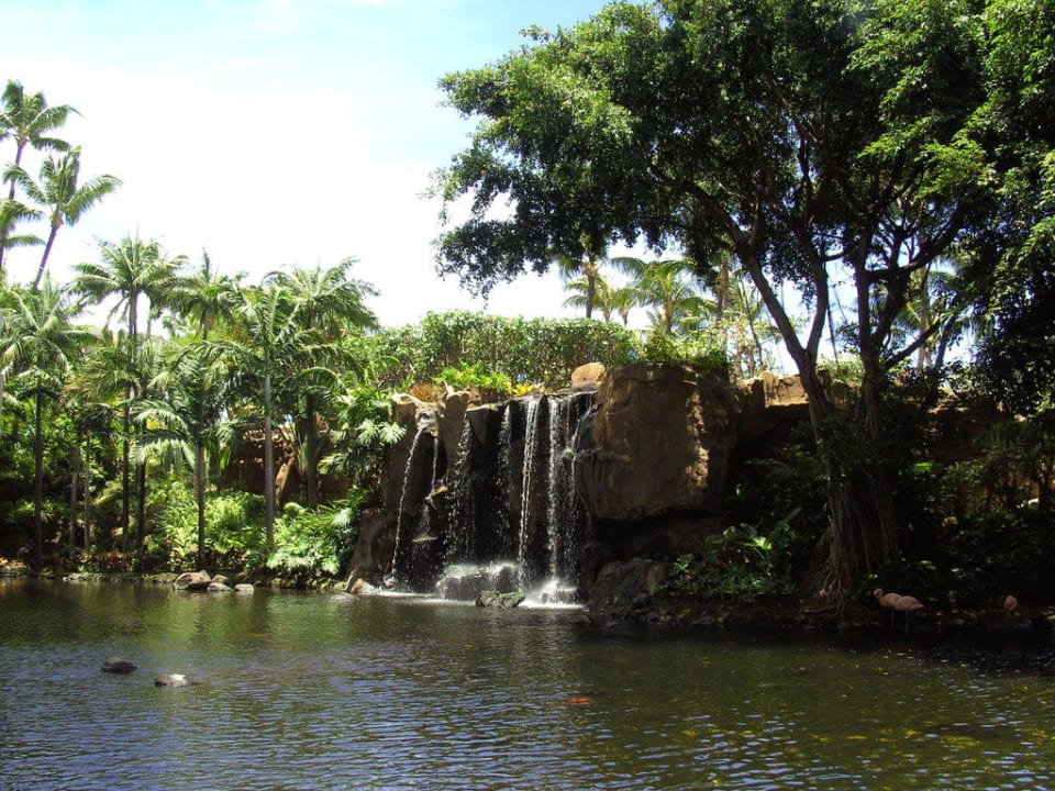 Gartenanlage The Westin Maui Resort & Spa