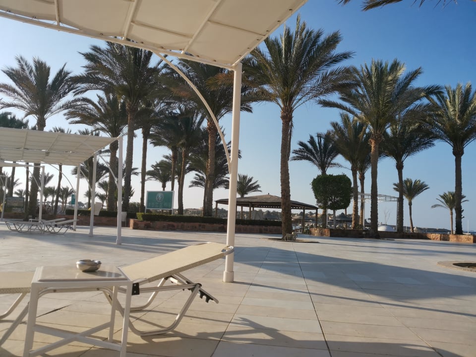 Sonstiges Jaz Solaya