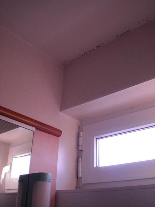 Schimmel im Badezimmer Hotel Ibis Stevenage Centre