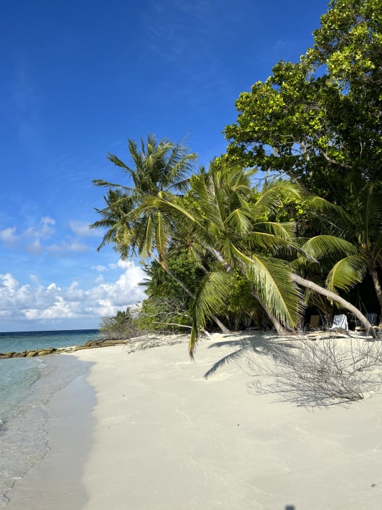 Strand Embudu Village