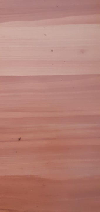 Zimmer Seehotel Birkenhof