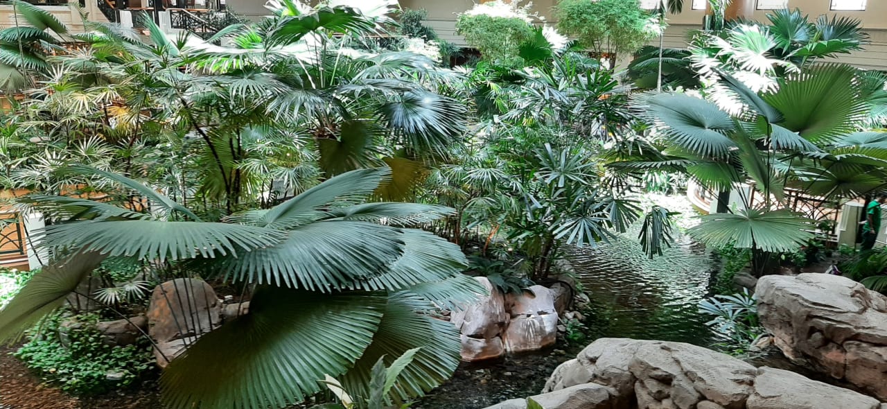 Sonstiges Grand Hyatt Dubai