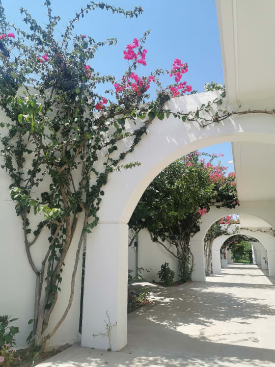 Gartenanlage TUI KIDS CLUB Alex Beach