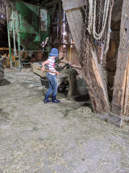 Sonstiges Bauernhof Vorderoberlehen