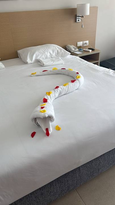 Zimmer JAZ Elite Asteria