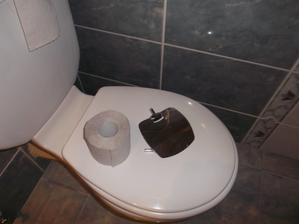 Defekter Toilettenpapierhalter Hotel Yavor Palace