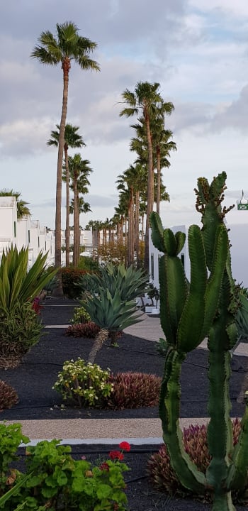 Gartenanlage Hotel Hyde Park Lane