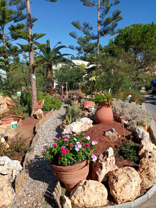 Gartenanlage Iberostar Selection Creta Marine