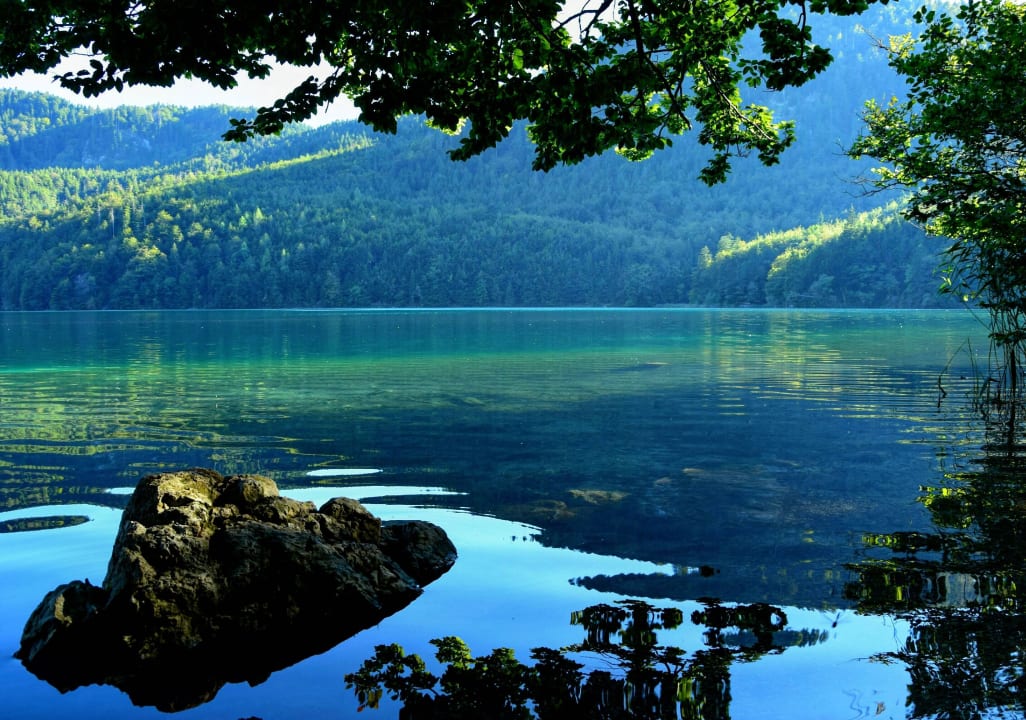 Alpsee Ferienhof Haug