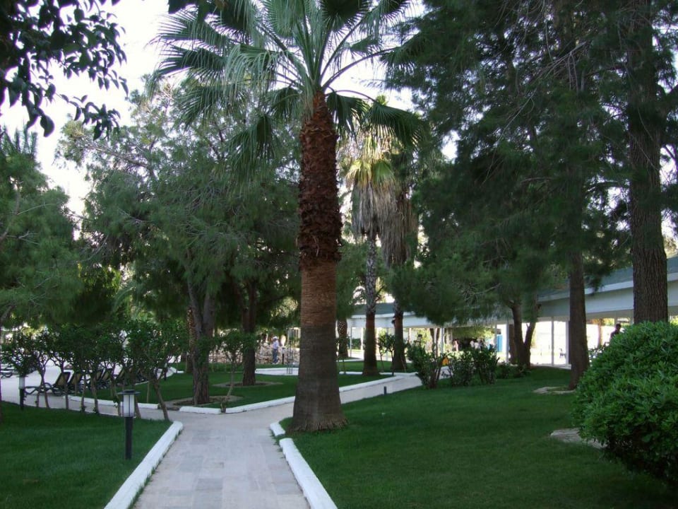 Gartenanlage Asteria Collection Side