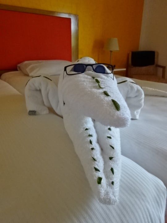 Zimmer Hotel Gorgonia Beach Resort