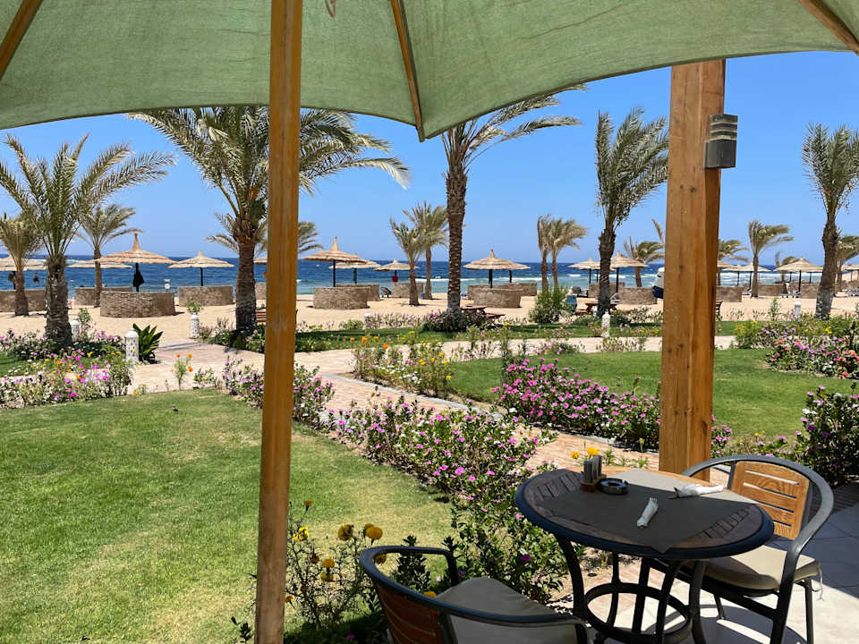 Gastro Coral Sun Beach