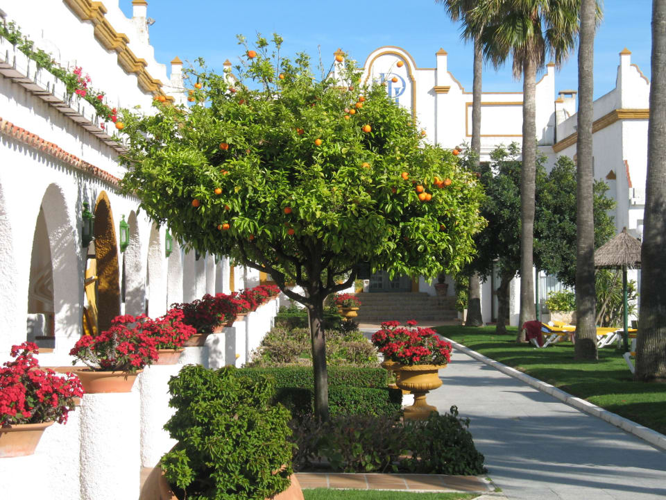 Hotel Innenhof Hotel Playa de la Luz