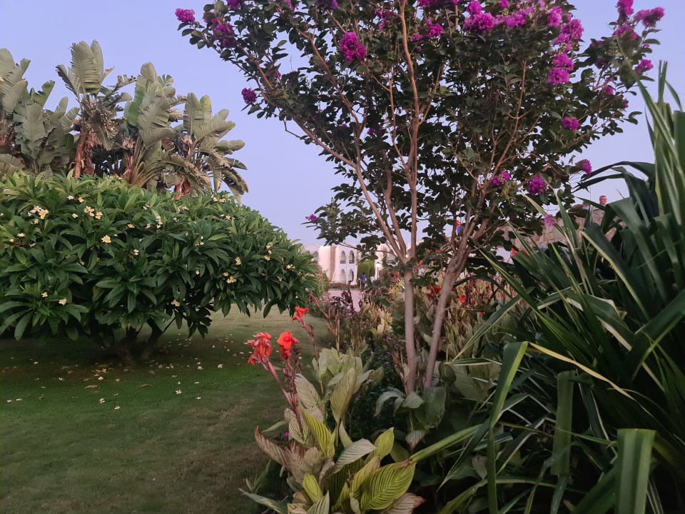 Gartenanlage Hotel Gorgonia Beach Resort