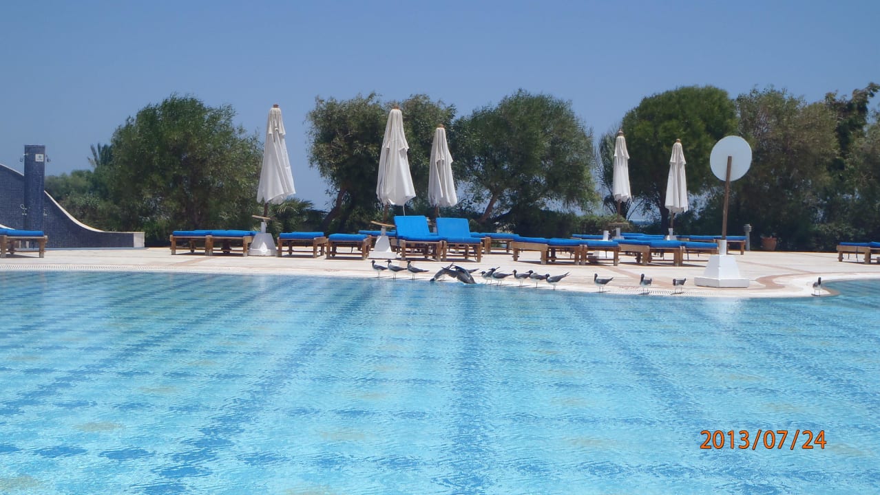 Il Lemone Mövenpick Resort & Spa El Gouna