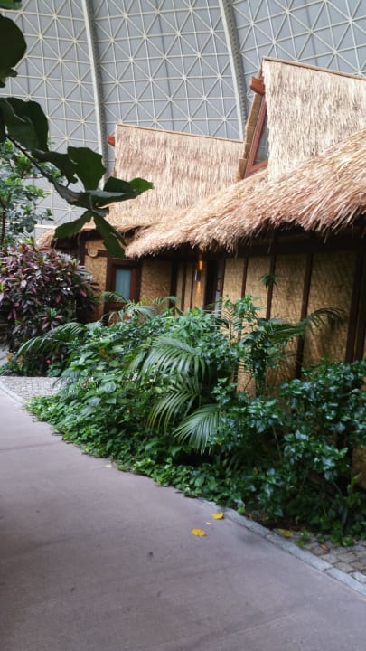 Junior Suiten im Regenwald Tropical Islands Resort