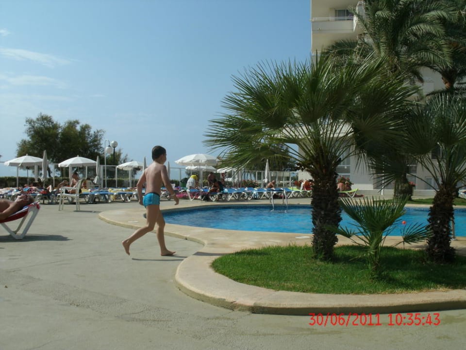 Pool Aparthotel Playa Dorada