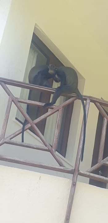 Sonstiges Neptune Village Beach Resort & Spa