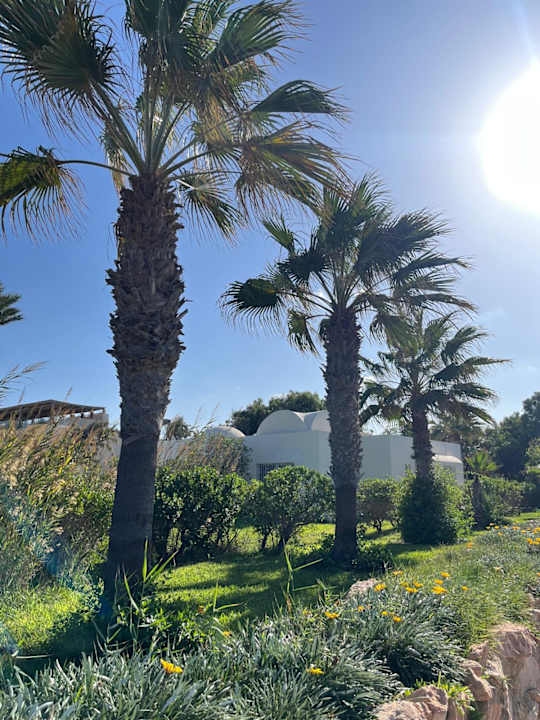 Außenansicht TUI MAGIC LIFE Penelope Beach