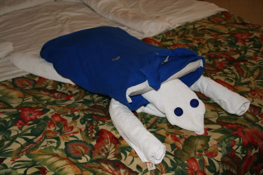 Turtle from towels  Pyramisa Beach Resort Sahl Hasheesh